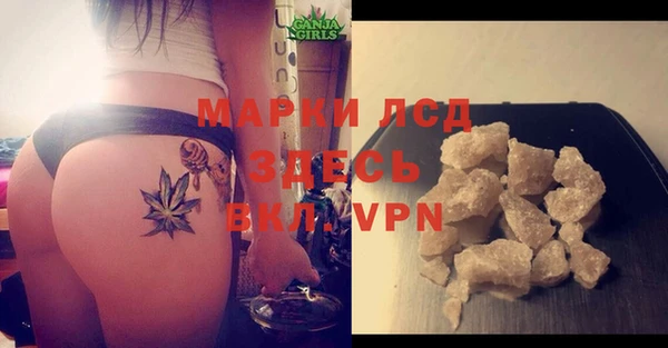 прущие грибы Армянск