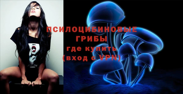 бутират Арсеньев