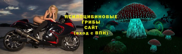 бутират Арсеньев