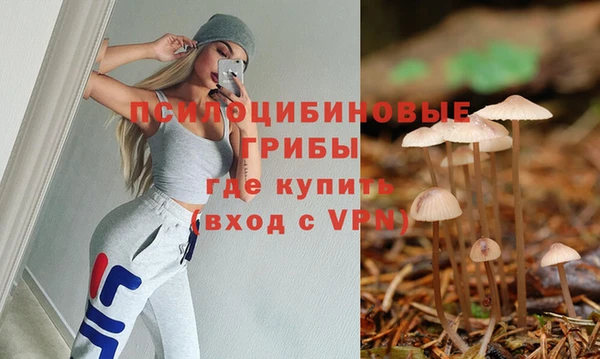 прущие грибы Армянск