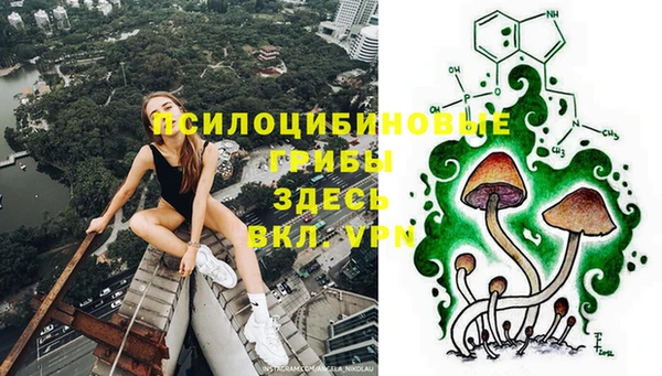 прущие грибы Армянск